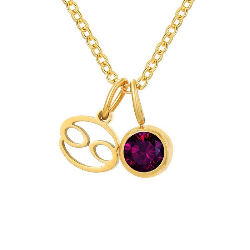Steel Necklace Female Clavicle Chain Fashion Ins Twelve Constellation with Diamond Light Luxury Minority Birthday Stainless Steel Snake Bones Chain