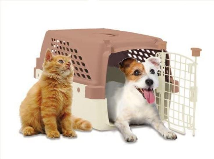 Fastlux Pet Sweet Chocolate Размер M Уличный Предотвращение Катастроф Жесткий Тип Переноска Для Домашних Животных