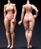 Игрушки и Хобби [TOYBARJAPAN] TUNSHI STUDIO TS-FB-002 B Женское тело с маленькой грудью для экшн-фигурок 1/12