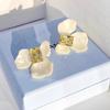 Серьги-цветы цвета циркония, белые, милые, элегантные, серьги-гвоздики со стразами для женщин, модные, для вечеринки, свадебные украшения