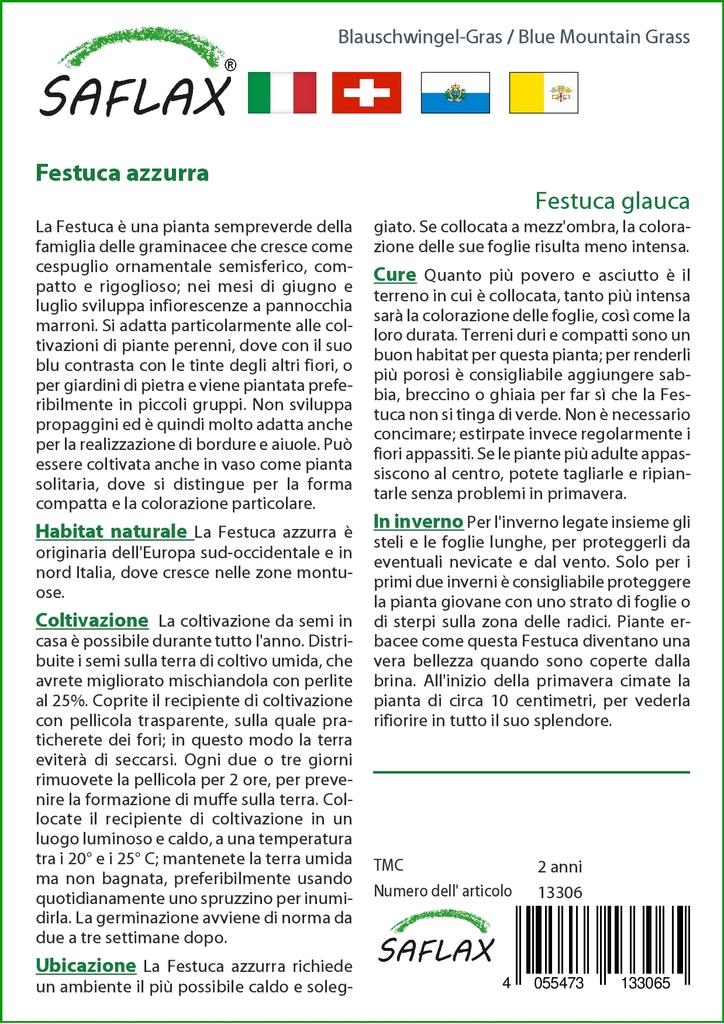 SAFLAX Голубая горная трава - 50 семян - Festuca glauca