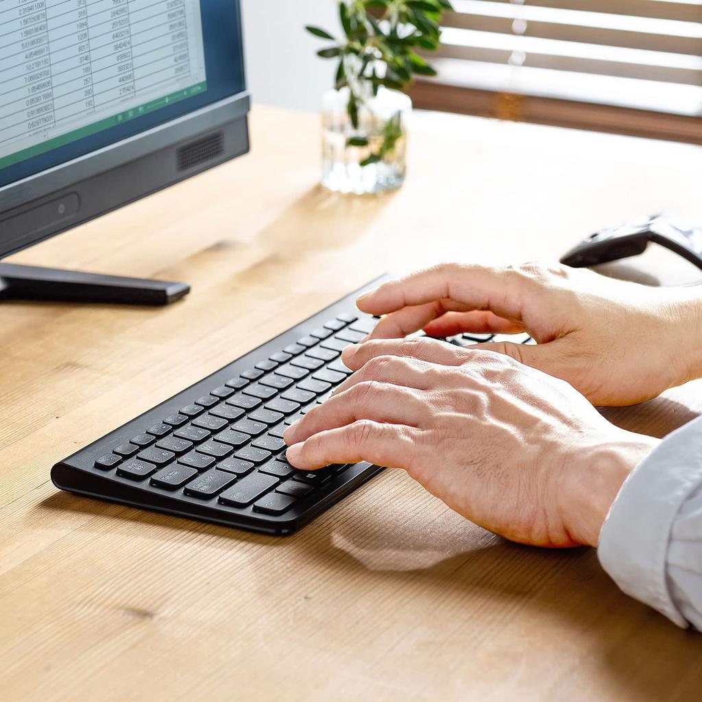 Клавиатура Sanwa Supply беспроводная USB-подключение перезаряжаемая тонкая черная Type-C SKB-WL31CBK