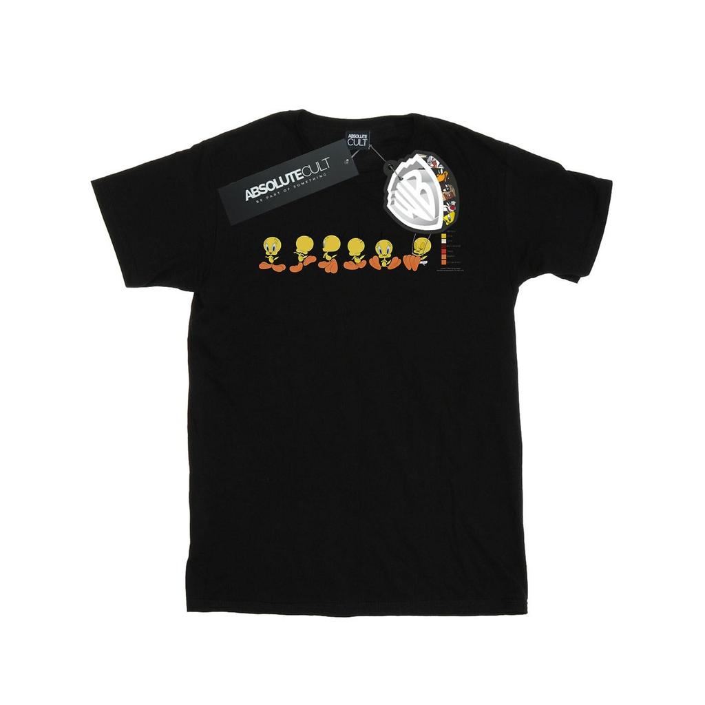 Looney Tunes Womens/Ladies Tweety Pie Colour Code Cotton Boyfriend T-Shirt