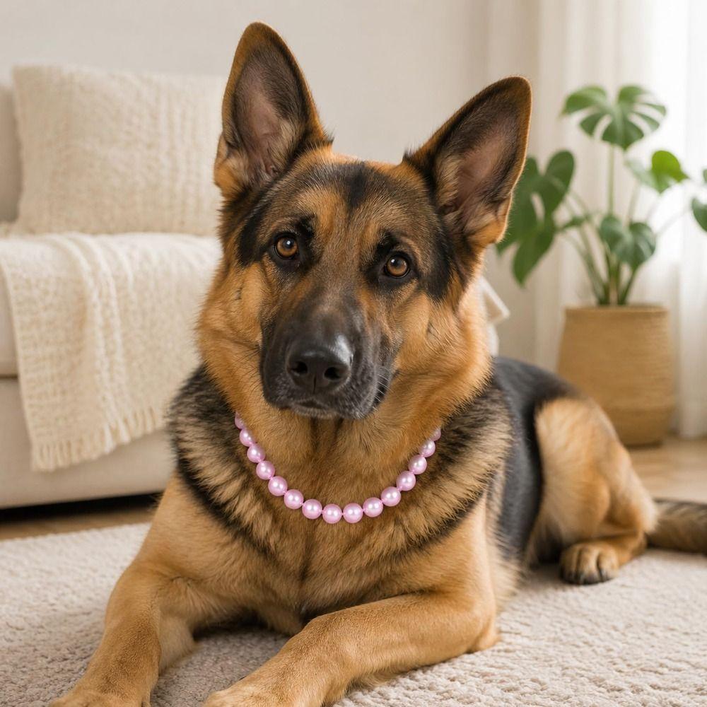 Adjustable Dog Collar Necklace Acrylic Pet Pearl Necklace Elegant Pearl Dog Collar Pet Supplies