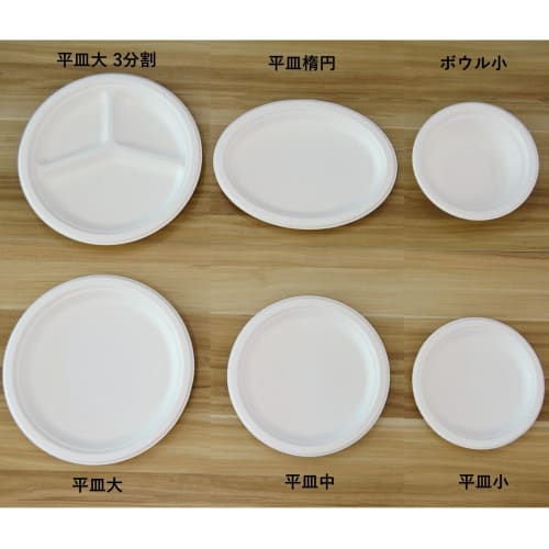 Disposable Bagasse Plates, Eco-Friendly and Durable, Flat Plates with 3 Large Dividers, 50 Plates, Perfect for BBQs and Parties, Can be Discarded with