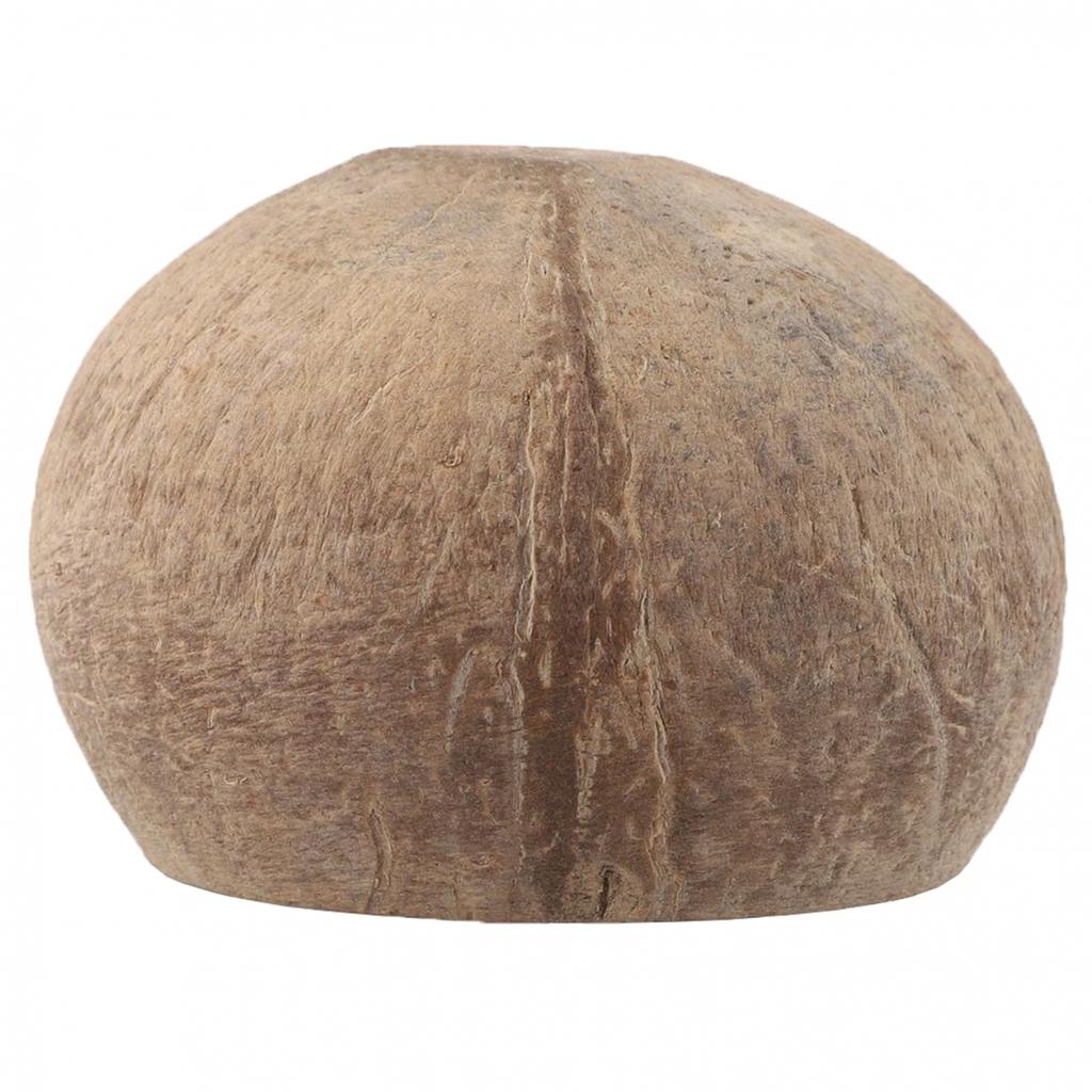 Маленький стакан для свечи Кокосовая чаша Круглая чаша Тарелка для фруктов Сухофрукты