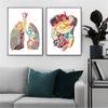 Строение человека Сердце Легкие и кости Плакаты и принты Медицинские клиники Картины на холсте Настенное искусство Медицинские энтузиасты Подарок