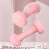 Yuejih Hu Dipped Dumbbells