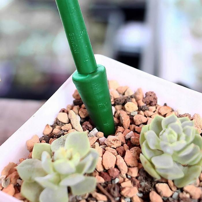 Gardenline Zestaw Do Pikowania - Mini Siewnik + Narzędzia Eva2741