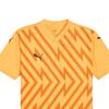 Puma Мужская футболка-джерси Teamglory