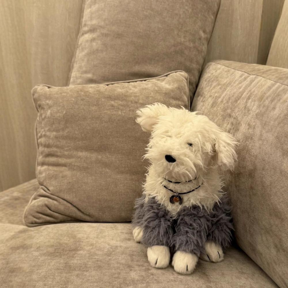 Британская овчарка Эварт Плюшевая игрушка Кукла Милая кукла-щенок с каракулями Женский подарок