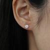 NORMALLEE [14K] Basic Cubic Earrings (5mm)