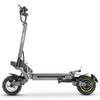 IENYRID IE-S1 City Commuting Adult Electric Scooter 800W Motor 48V15Ah Battery 10 Inch Off-Road Tires Multi Terrain EScooter