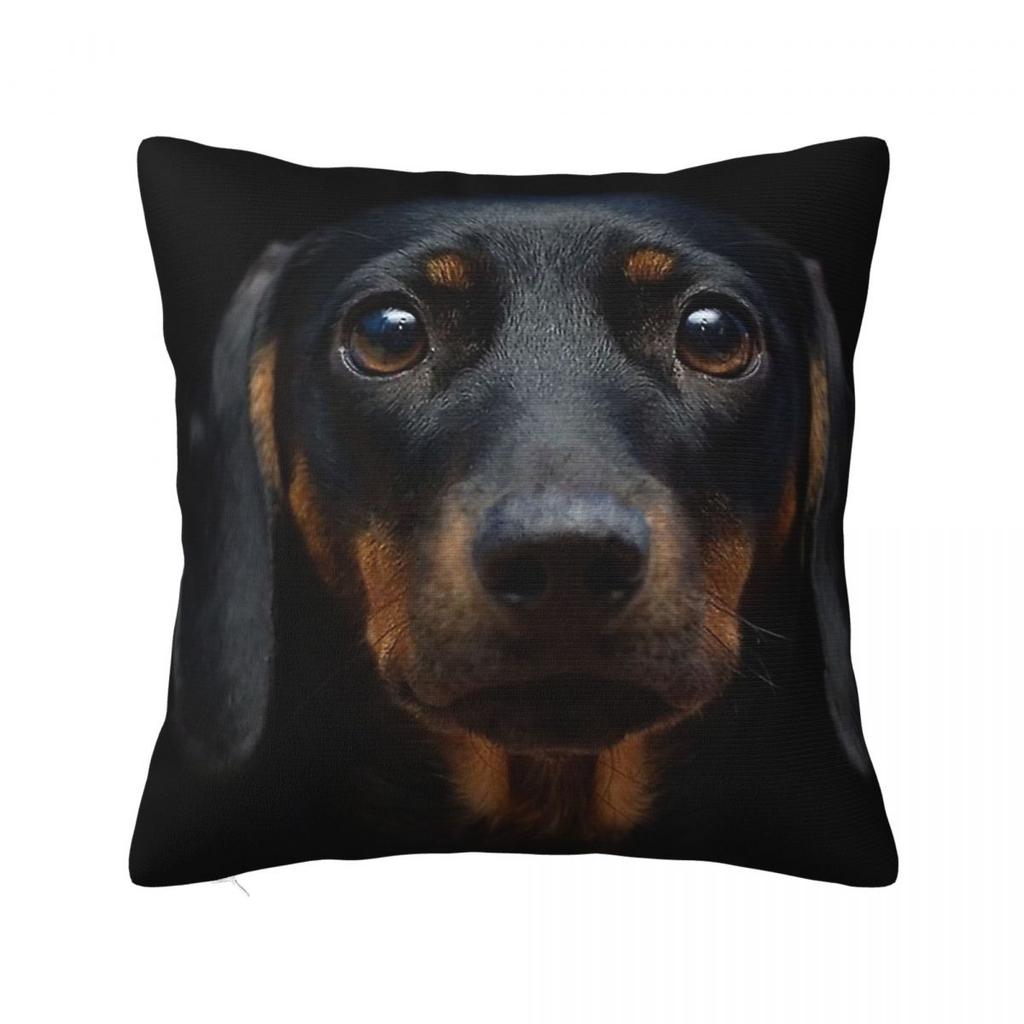 Dachshund Dog Square Pillow Covers Polyester Home Wiener Sausage Doxie Cushion Case Cute Decor Pillowcase 4040