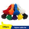 100 шт./пакет, 8 цветов, 2,5 мм x 100 мм, 2,5 мм * 100 мм, самоблокирующийся нейлоновый провод, кабельные стяжки, кабельные стяжки, белый, черный, органайзер, закрепить кабель