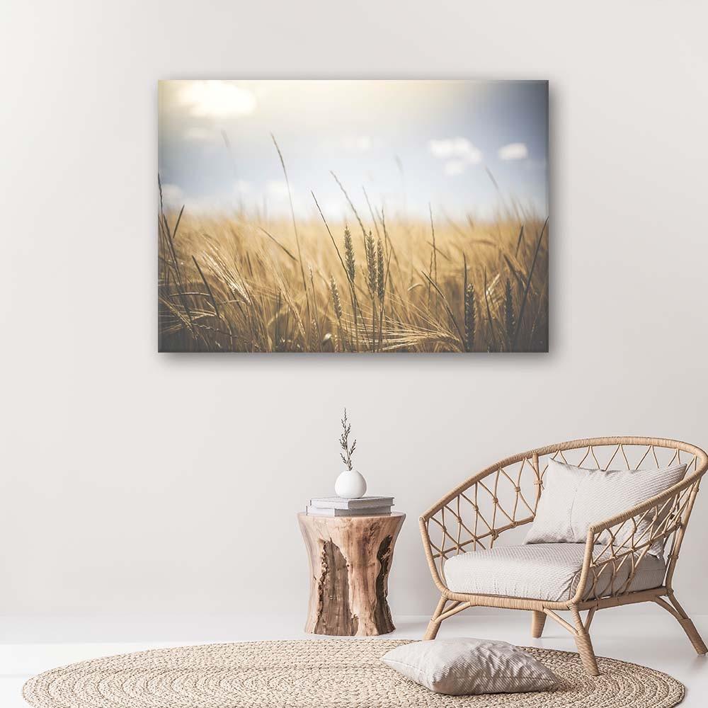 Canvas print, Grain in the field