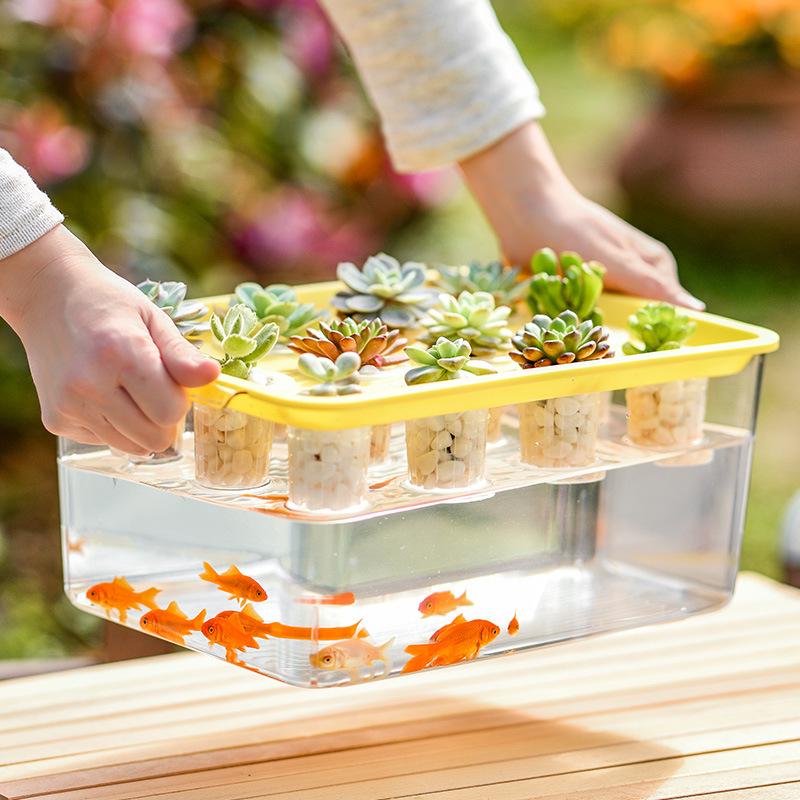 Экологичный аквариум для петушка: Стильный настольный микро-ландшафт для гостиной и офиса с аквариумом-симбиозом для золотых рыбок и растений