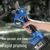 Kaleiluban Electric Brushless Pruning Shears CN plug (adapter included)