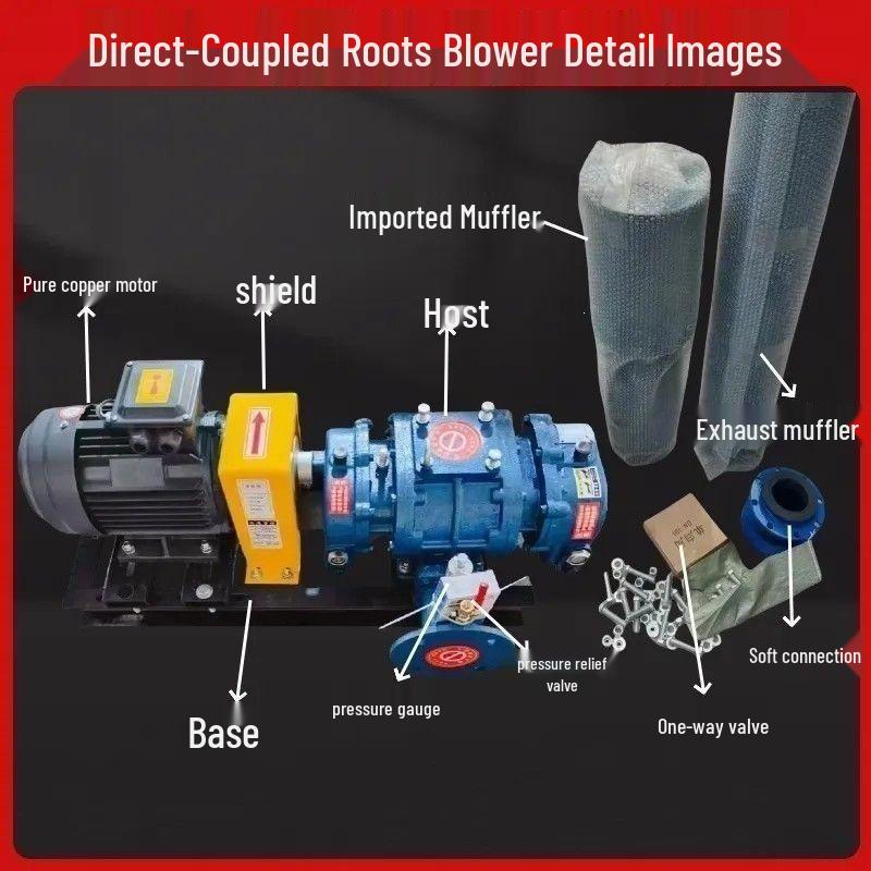 Three-Leaf Direct-Coupled Variable Frequency Blower for Aquaculture 380V