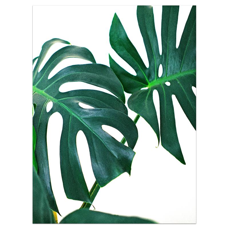 Nordic Green Palm Leaf Wall Art Monstera Leaves Canvas Painting Minimalist Tropical Plant Wall Picture for Living Room Decor