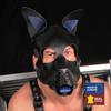 Genuine Leather Mask PUPPY Blue
