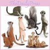 Realistic Mongoose Pvc Animal Figures For Kids Learning And Classroom Decor