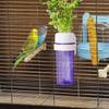 Water-Storage Parrot Hydroponic Plant Preserver Hanging Vegetable Water Feeder  Budgie Cage