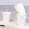 Fangcaodi 50ml Disposable Mini Paper Cups