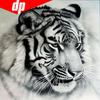 Круглый горный хрусталь Алмазная вышивка Тигр 5d Diy Алмазная картина Ремесленная вышивка крестом