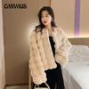 Winter Women's Coat Short Temperament Celebrity Plush Collarless Top Short Coat