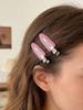 DIOR 2 Pcs Pink Transparent Logo Hair Clips Metal Alligator Barrettes Fashion Women Bangs Hair Accessories Daily Decor