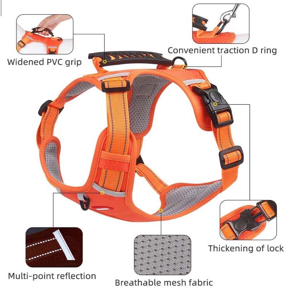 Traction Halter Outdoor Walking Dog Harness Vest Pet Chest Strap Pet Supplies Pet Harnesses Leash