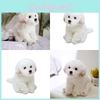 Очаровательная белая мальтийская плюшевая игрушка, наполнена волокном, длинношерстное чучело животного, 33x24x16см/38x26x21см