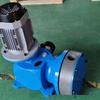 Lan Xinglin GM90/0.7 Mechanical Diaphragm Dosing Pump for Low Flow Metering