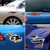 Funny Car Sticker 3D Peeking Animal Voyeur Reflective PET Decal Styling Decor Car's Goodsti