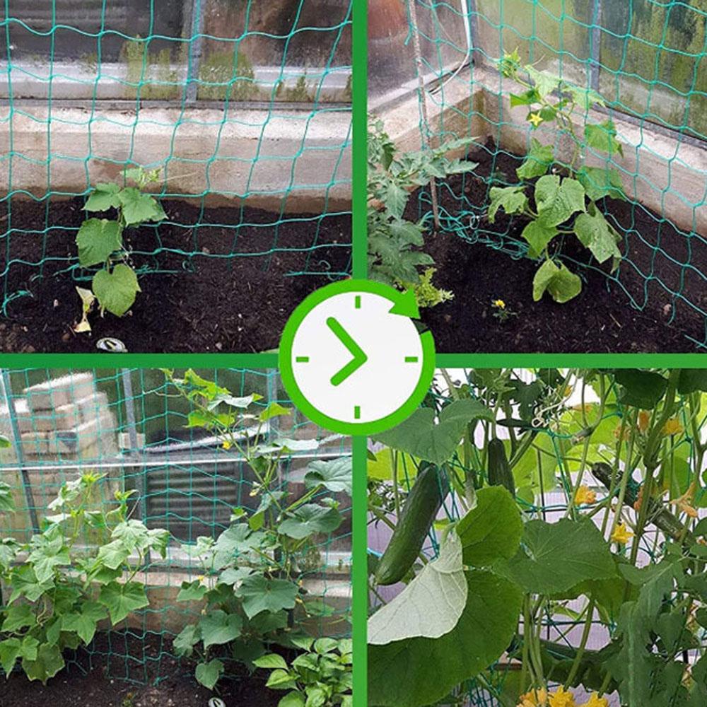 Садовая плетёная нейлоновая сетка для шпалер Вьющиеся растения Сетка для шпалеры Огурцы Виноградная лоза Поддержка Овощи Растения Сетка для шпалеры