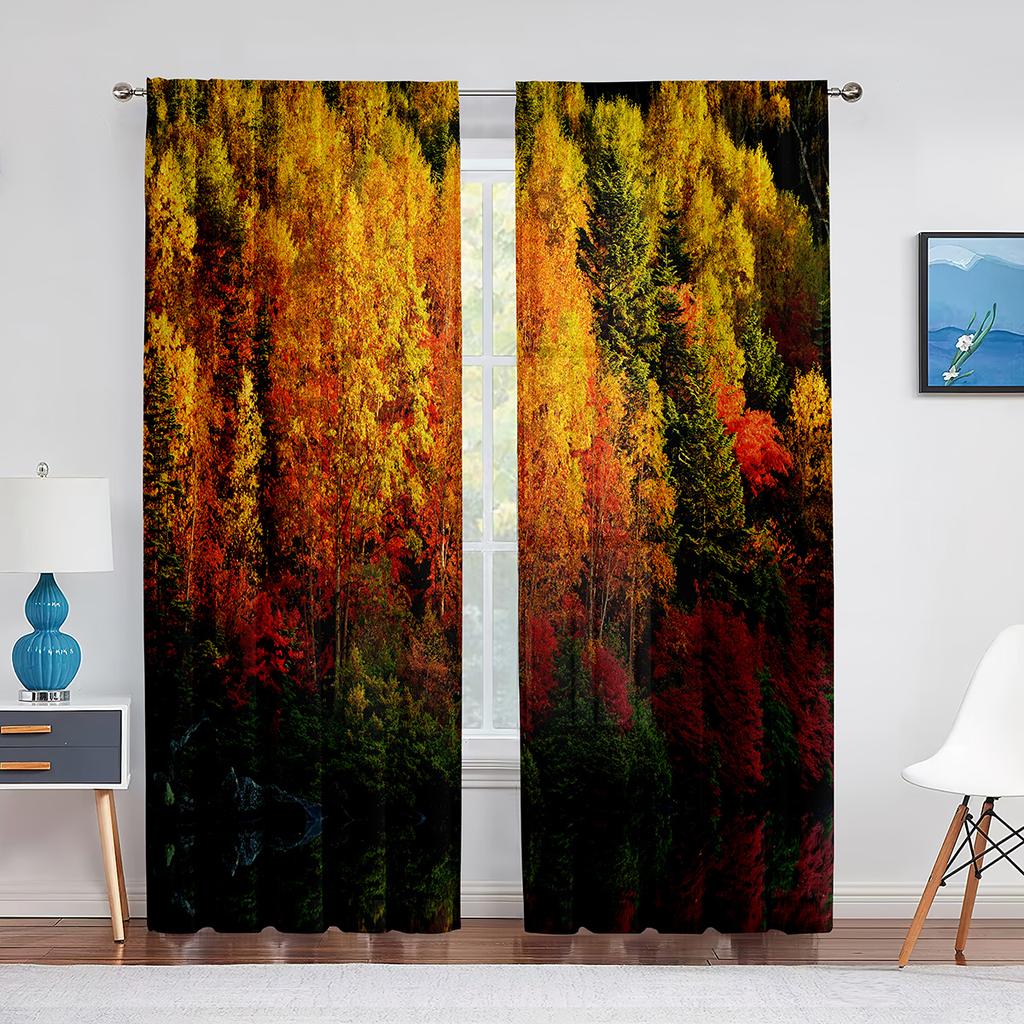 Fall Forest Tulle Curtains for Living Room Bedroom Decoration Autumn Trees Woodland Sunshine Nature Scenery Sheer Voile Curtain