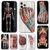 Чехол для телефона с принтом человеческого скелета для iPhone 14 5s 2020se 6 6s 7 8 plus x 10 XR XS 11 12 13 mini pro MAX черная задняя крышка из ТПУ