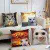 Cushion Cover Comfortable Soft Cat Funny Pillow Case for Sofa Meme Living Room Home Office Decor and Protective Covers