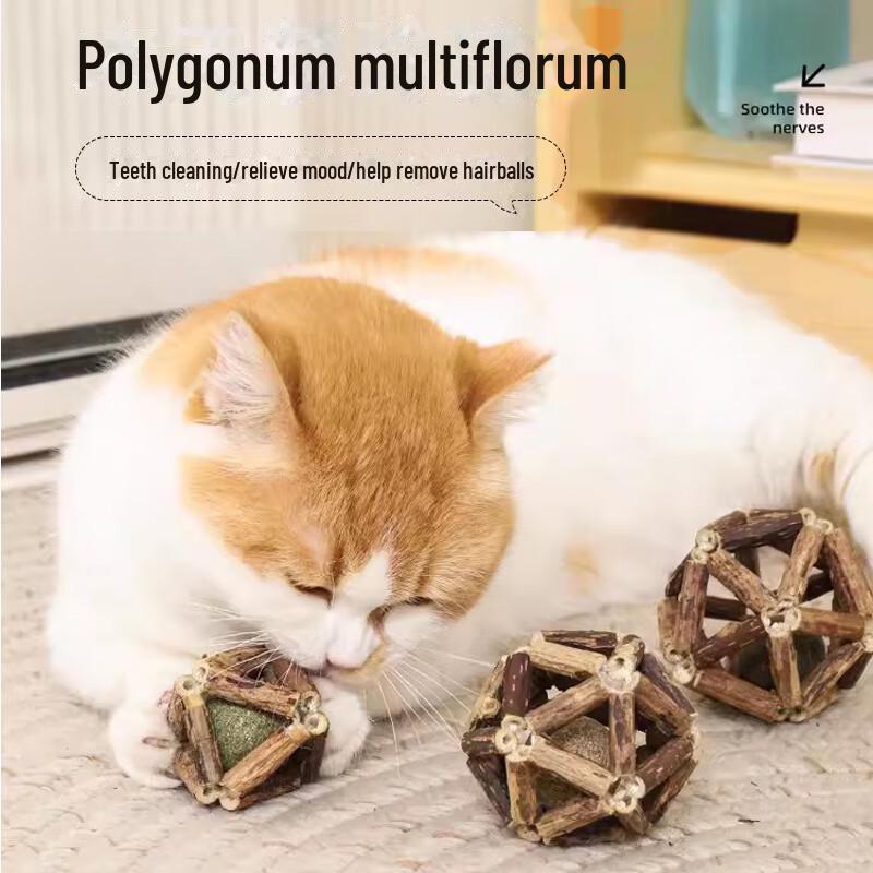 Catnip Ball & Teething Stick: Bite-Resistant, Self-Entertainment Toy for Kittens.