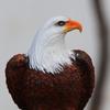 Садовые фонари на солнечных батареях Eagle, уличные солнечные фигурки белоголового орлана, декоративный светильник для кольев