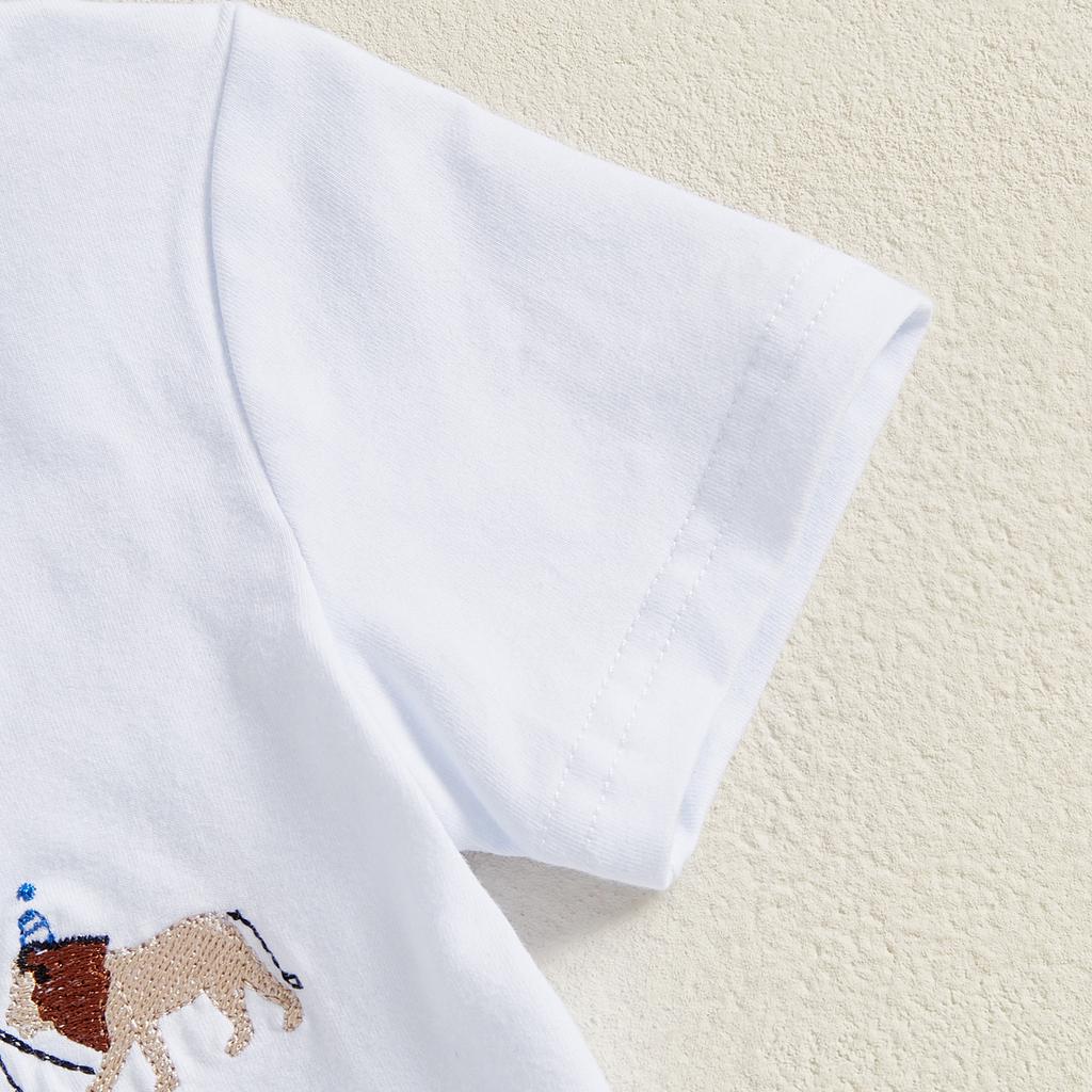 Toddler Boy Birthday Clothes Letter Animal Print Short Sleeves Round Neck Tops with Plaid Shorts 2 Pcs Outfit