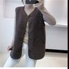 Lamb Hair Waistcoat Female Autumn Fur Waistcoat Jacket All-match Waistcoat Waistcoat Tide