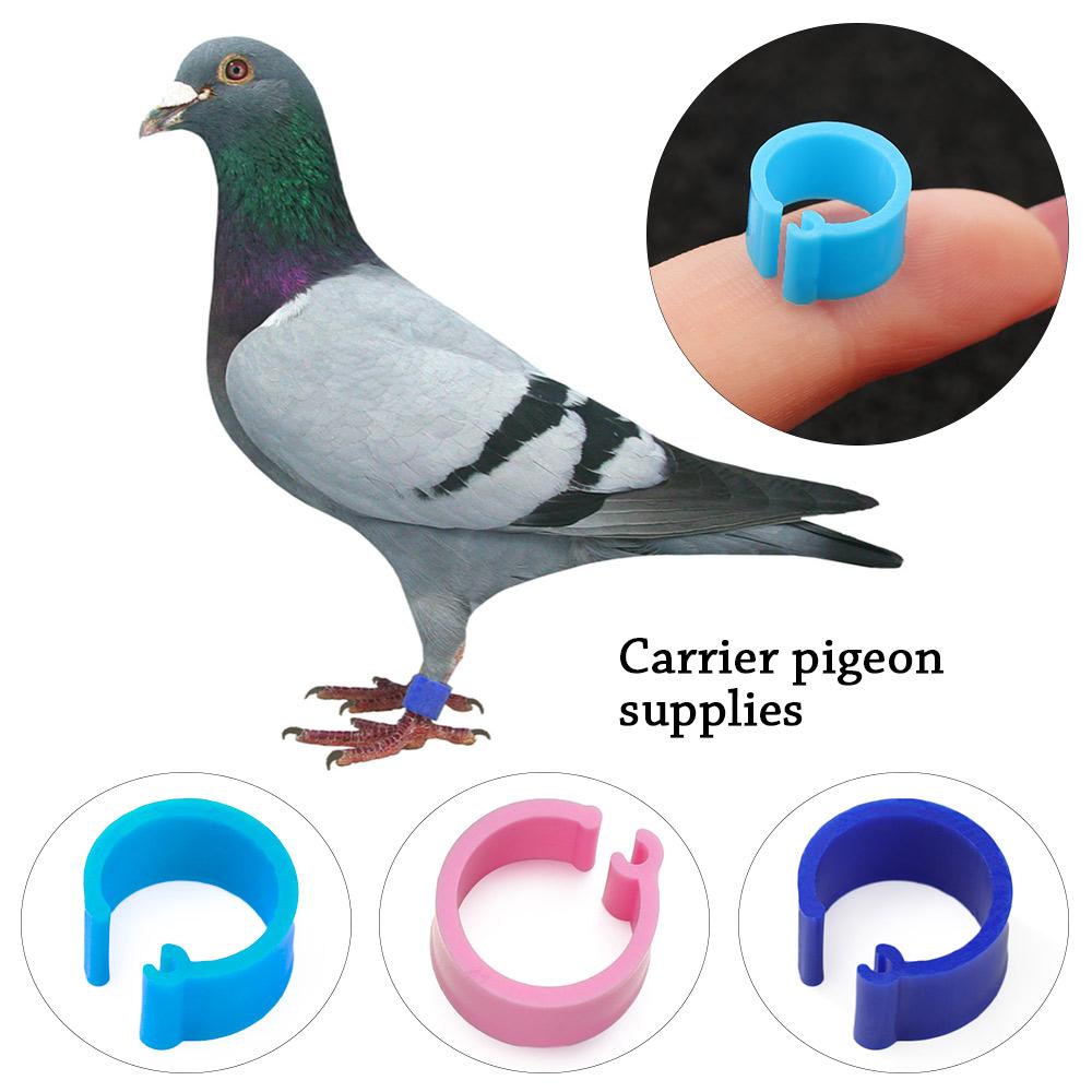 100 Pcs Colorful Bird Animal Leg Band Rings Poultry Clip