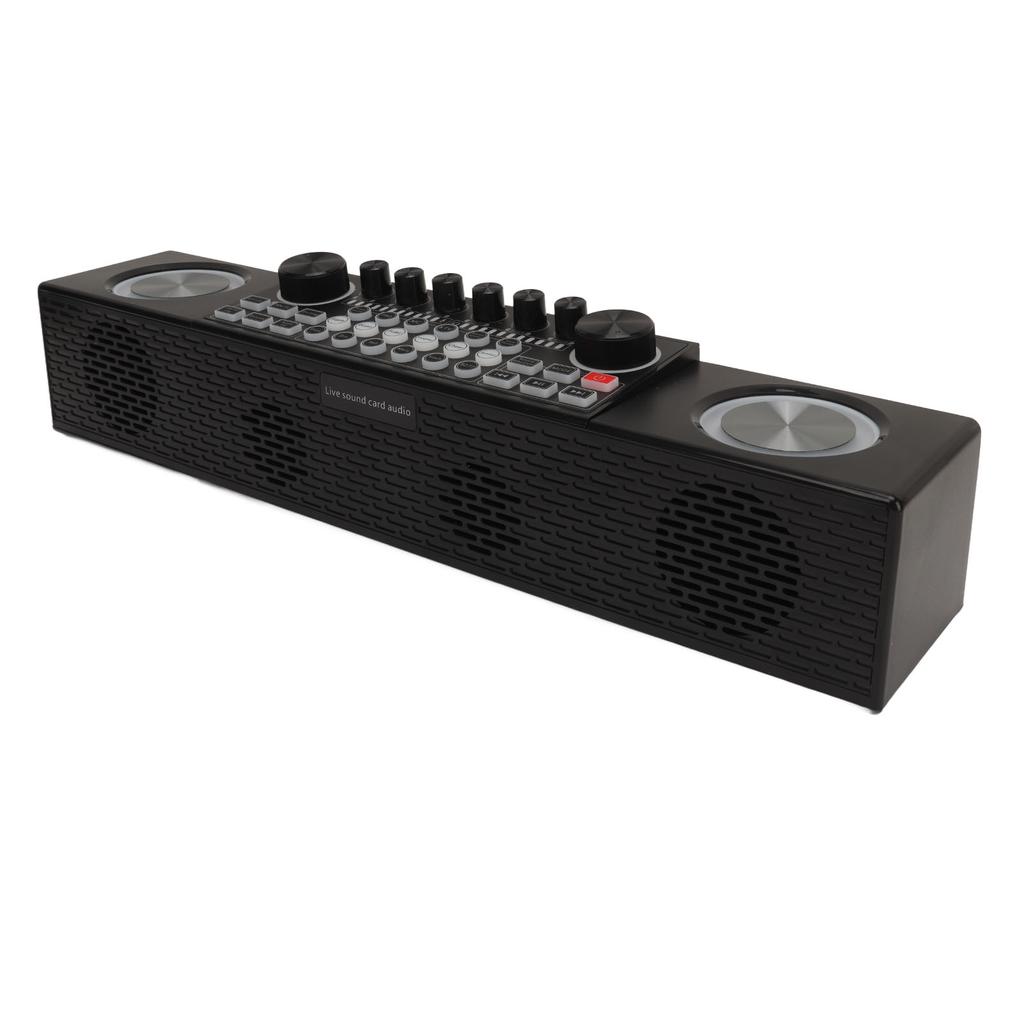 Караоке-машина Беспроводная Звуковая карта для Прямого Эфира Все в Одном Динамик Домашний Уличный Портативный Bluetooth-динамик с Микрофоном