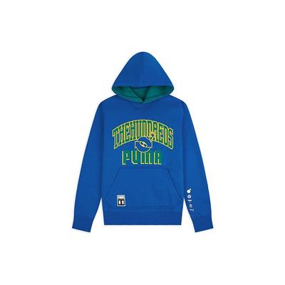 Puma Двусторонняя толстовка с капюшоном X The Hundreds, мужские топы, синий, зеленый, 598311-89