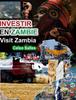 Книга INVESTIR EN ZAMBIE - Visit Zambia - Celso Salles : Collection Investir En Afrique