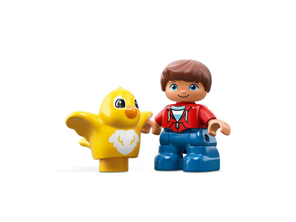 LEGO Duplo Idea Box 10887, educational building blocks for boys