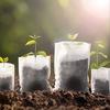 100Pcs Nursery Growing Bags Non-Woven Fabric Seedling Pots For Planting Seed Starting Pots Pouches For Vegetable Flower Fruit