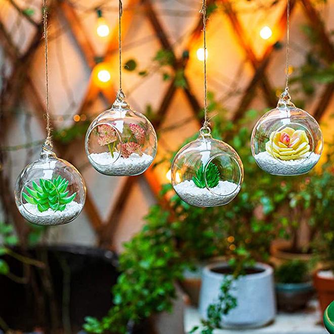 Dropshiping Hanging Glass Planter Round Air Plant Terrarium Decorations With Sling for Succulent Tillandsia Candle Holder